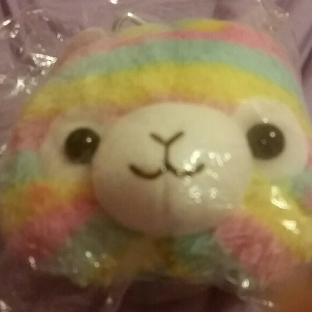 Rainbow alpaca head coin purse